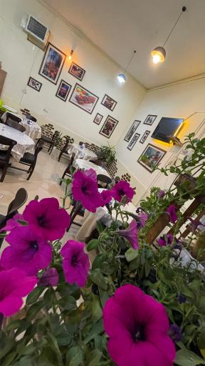 عکس رستوران کاکتوس