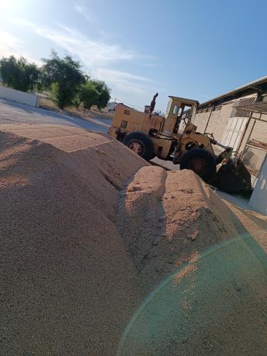 عکس بوجاری شرکت رزمندگان