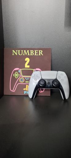 عکس گیم نت پوما