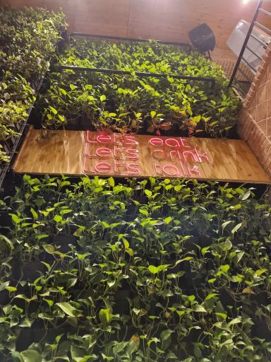 عکس کافه و رستوران موتا