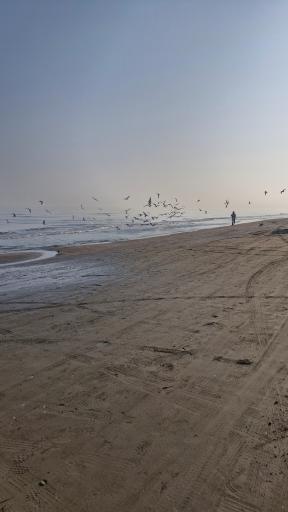 عکس مجتمع رفاهی ساحل آرام