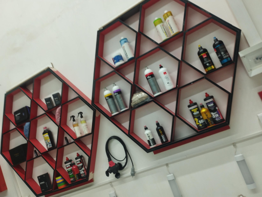 عکس دکتر پولیش 3