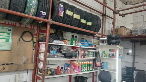 رینگ و لاستیک سالمی