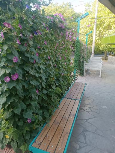 عکس کافه گردو