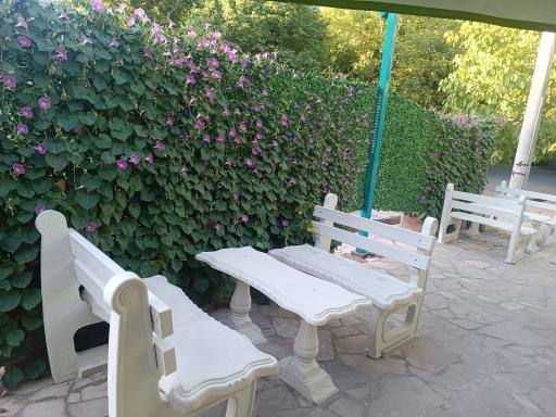 عکس کافه گردو