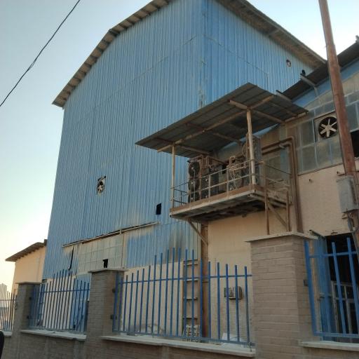 عکس نمک شمس