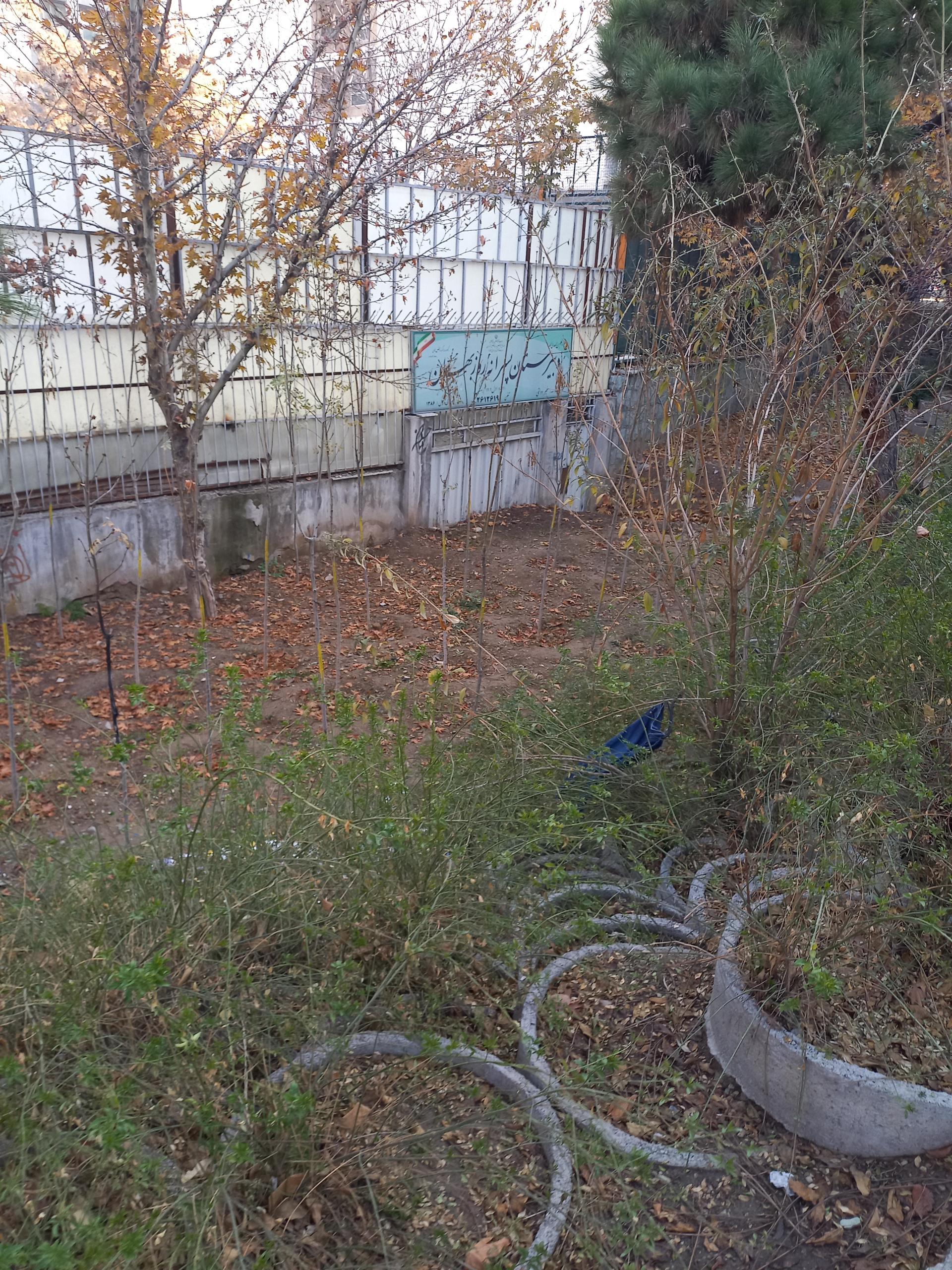 عکس دبیرستان پسرانه روزبهان