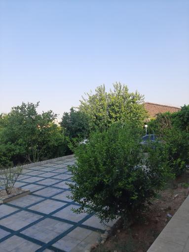 عکس باغ مسافر گلزار 