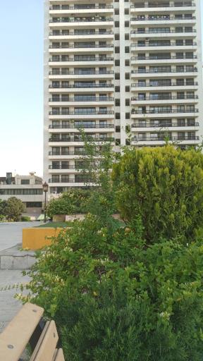 عکس برج  الوند