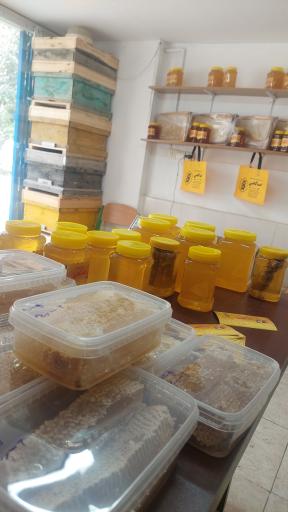 عکس عسل صالحی