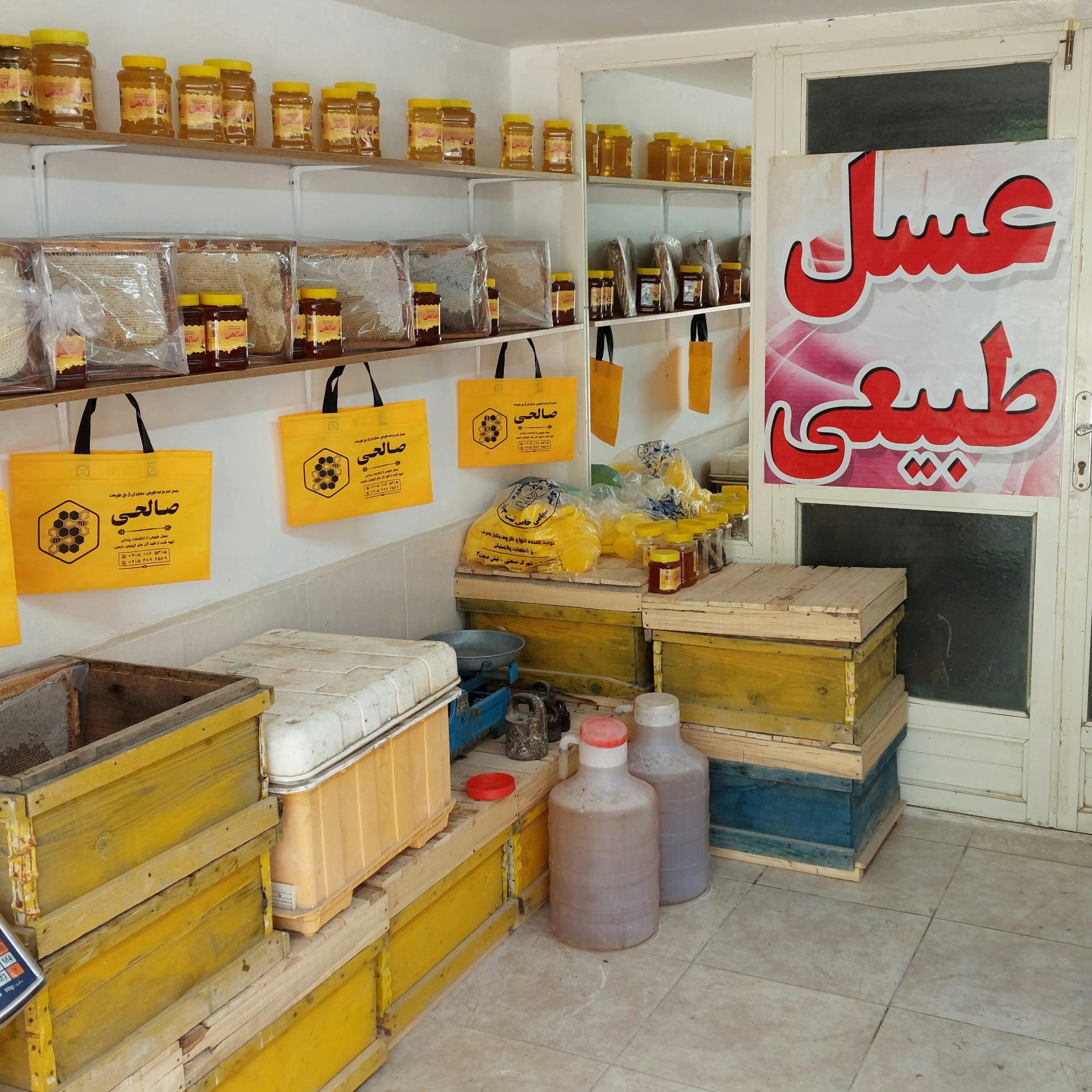 عکس عسل صالحی