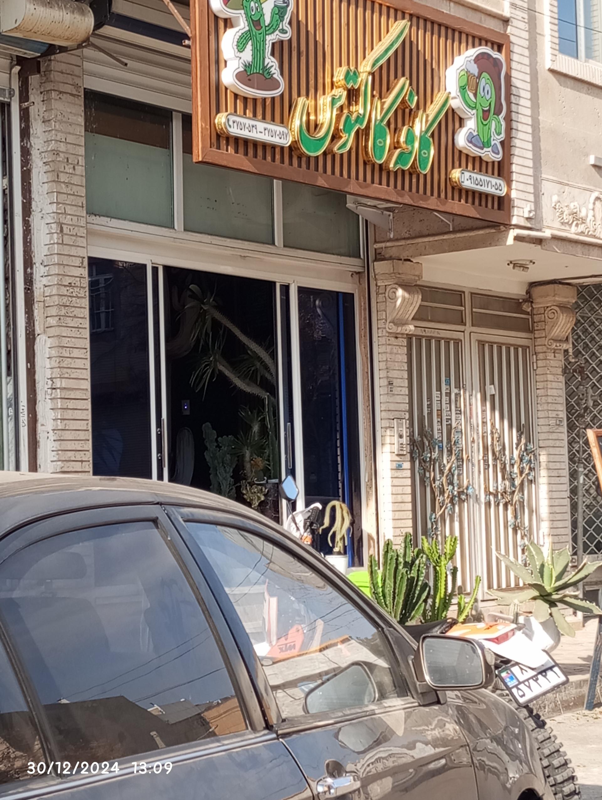 عکس کافه کاکتوس