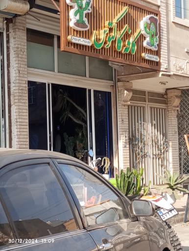 عکس کافه کاکتوس