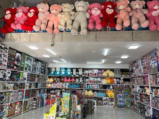 عکس پخش اسباب بازی امید