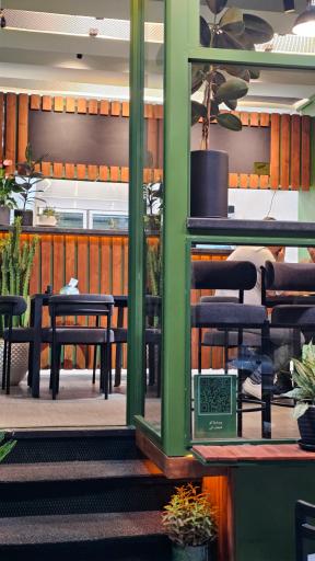 عکس لیاندر پیتزا