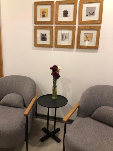 عکس کلینیک دامپزشکی و پت شاپ پارس