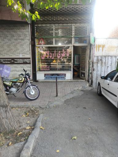 عکس فروشگاه باطری اردلانی