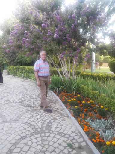 عکس بوستان گلها