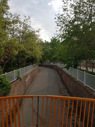 عکس بوستان نیلوفر آبی