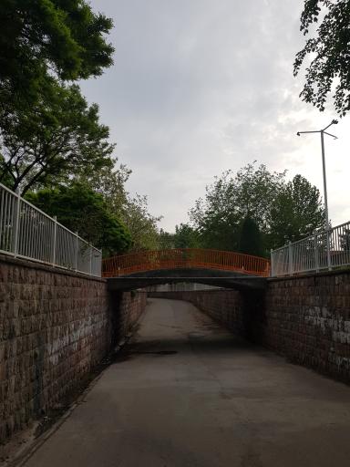 عکس بوستان نیلوفر آبی