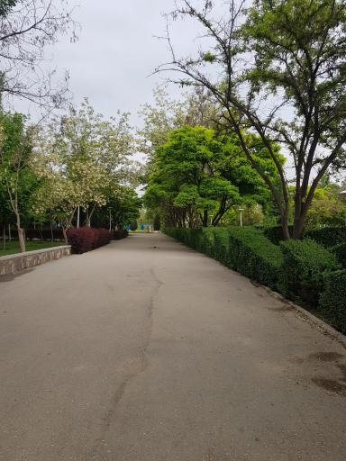 عکس بوستان نیلوفر آبی