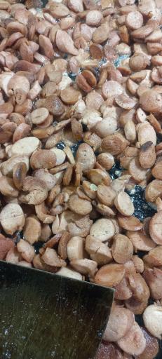 عکس فست فود تپلی