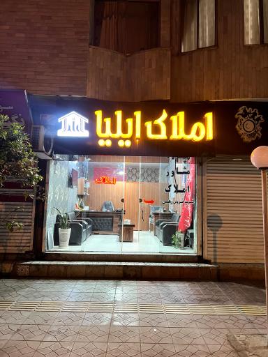 عکس مشاور املاک ایلیا 