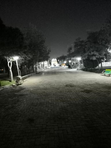 عکس بوستان نیلوفر آبی