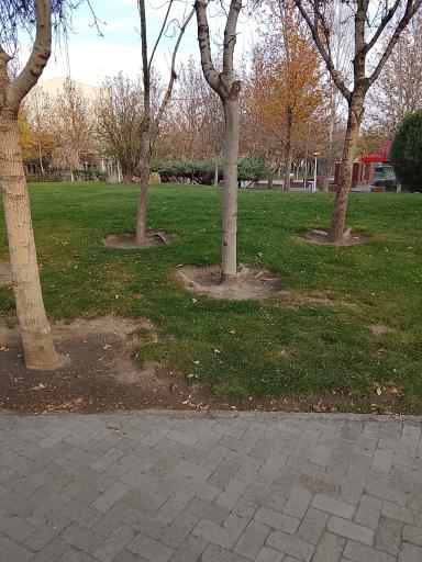 عکس بوستان نیلوفر آبی