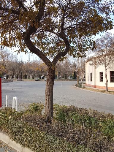 عکس بوستان نیلوفر آبی