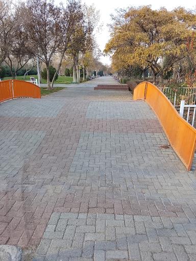 عکس بوستان نیلوفر آبی