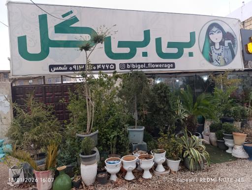عکس گل فروشی بی بی گل