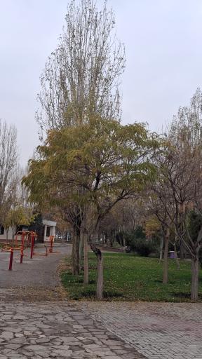 عکس بوستان نیلوفر آبی