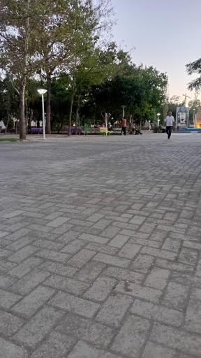 عکس بوستان نیلوفر آبی
