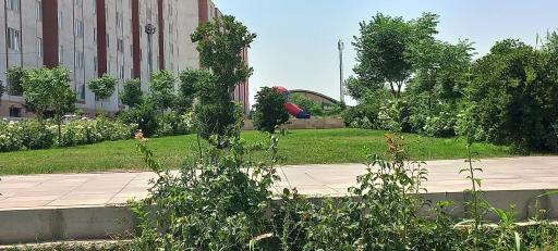 عکس بوستان دانش