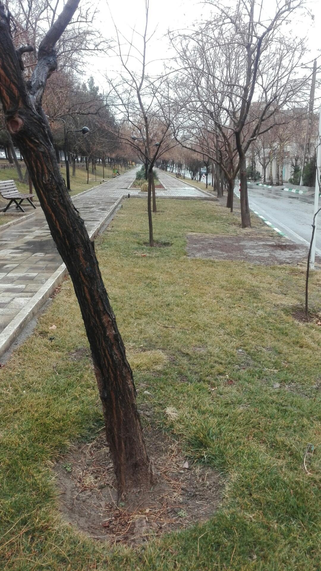 عکس پارک خطی نوفل