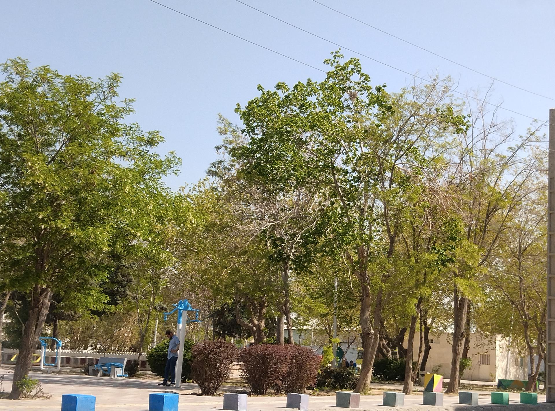 عکس پارک چمران