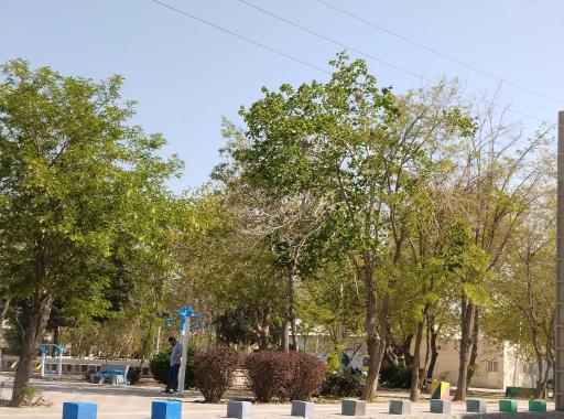 عکس پارک چمران