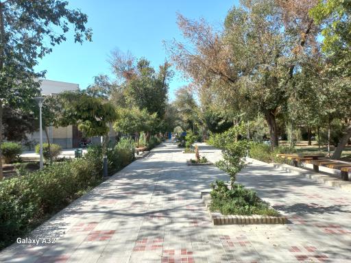 عکس سالن مطالعه شماره پنج (جابر انصاری)