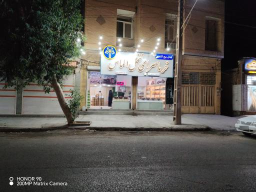 خرما سرای نخل الماس 