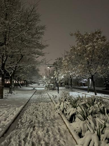 عکس پارک خطی نوفل