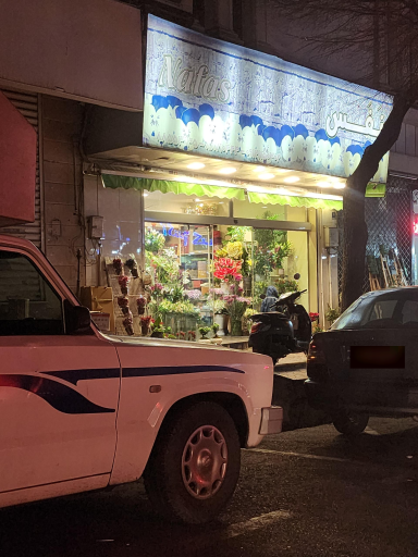 عکس گل فروشی نفس