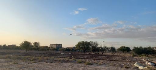 عکس محمودی