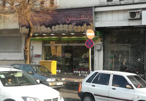 عکس گل فروشی نفس