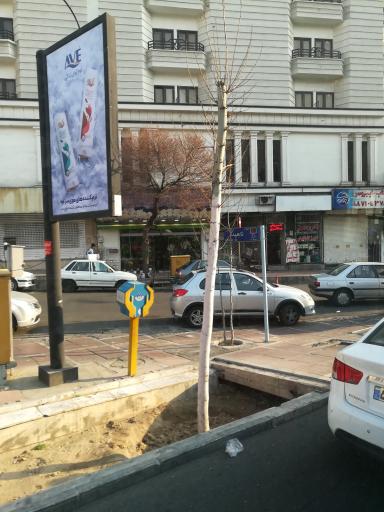 عکس گل فروشی نفس