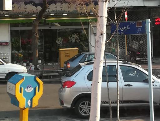 عکس گل فروشی نفس