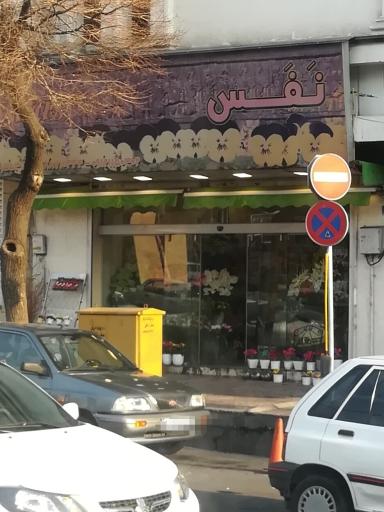 عکس گل فروشی نفس