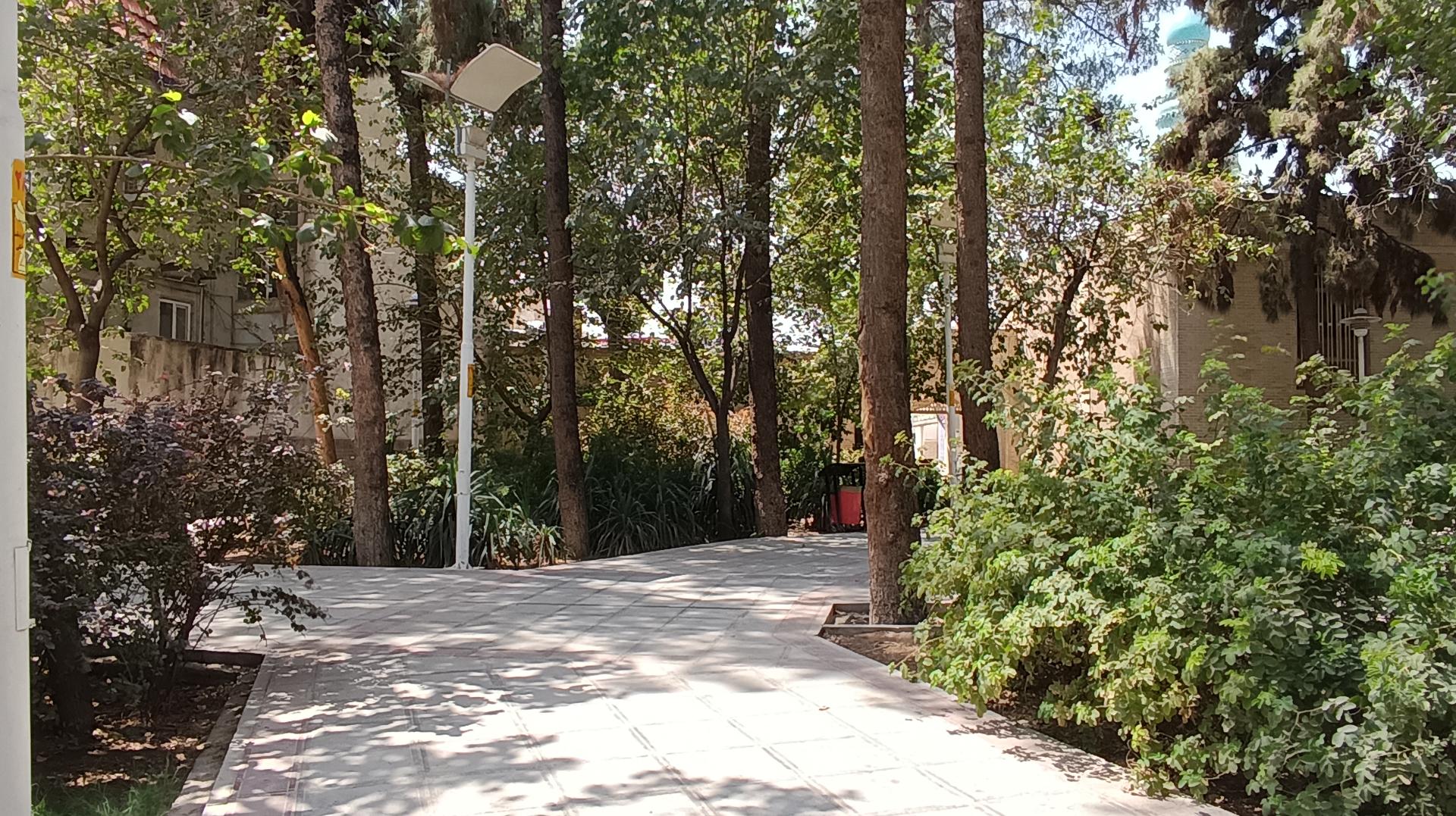 عکس بوستان شاه حمزه