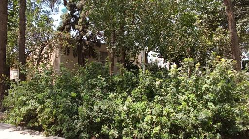 عکس بوستان شاه حمزه