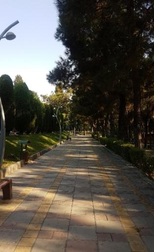 عکس ورودی پارک ساعی از خیابان  وزرا